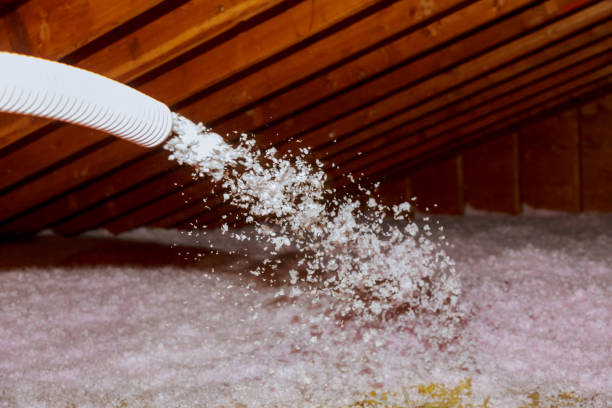 Best Residential Insulation Services  in Fort Mill, SC