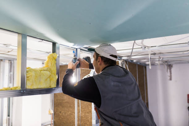 Best Insulation Inspection Services  in Fort Mill, SC