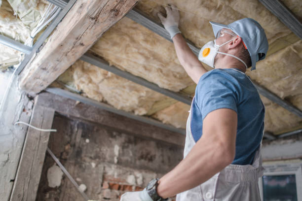Best Attic Insulation Installation  in Fort Mill, SC